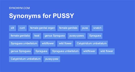 pussy synonyms